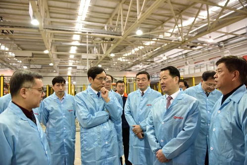 周育先调研凯盛科技蚌埠企业，强调推进电子专用材料研发与创新