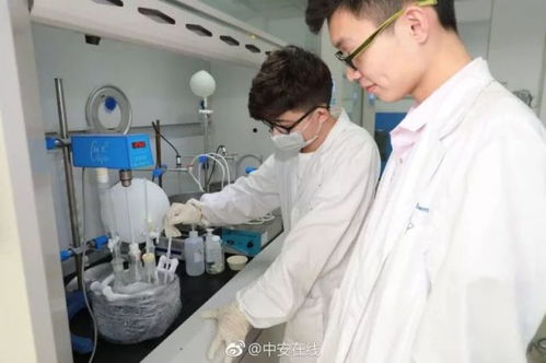 全国超80%光纤依赖的背后 电子专用材料研发的隐形冠军